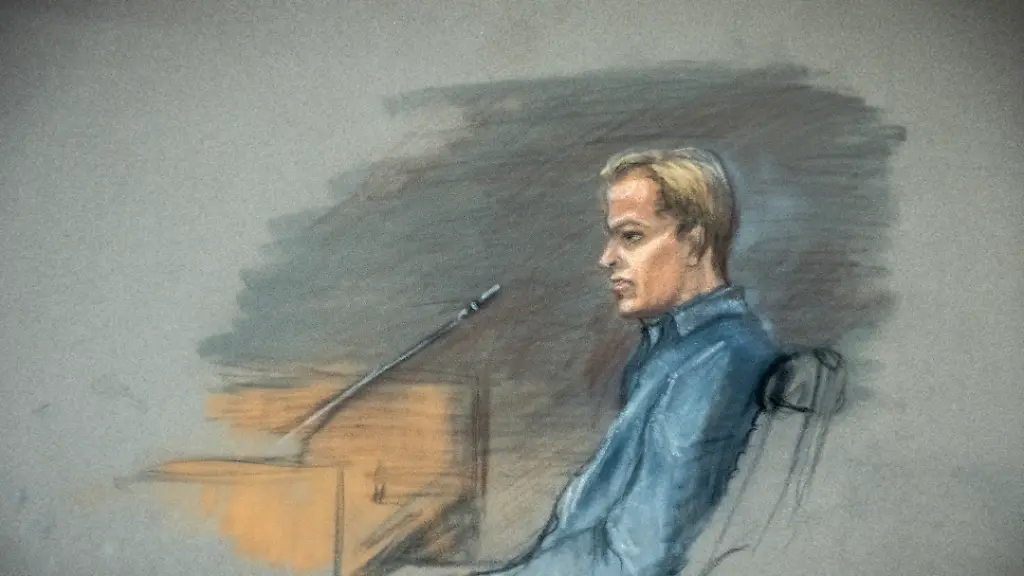 Zeugenaussagen im Prozess um Marius Borg Høiby