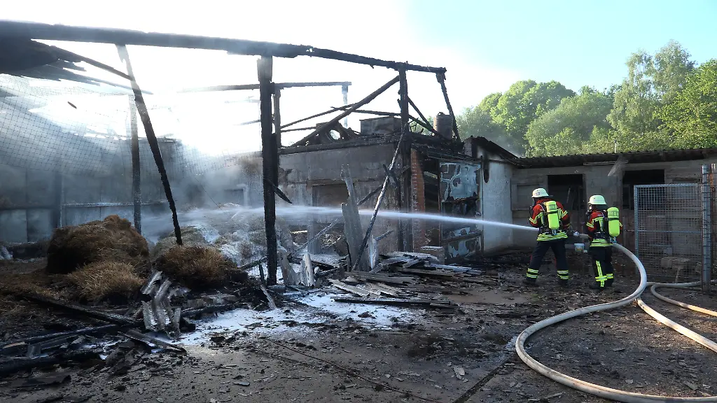 Großbrand auf Geflügelhof im Saarland: Tausende Hühner verenden