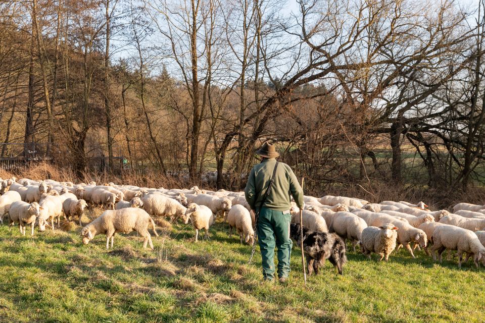 Zugunglück in Portugal: Schäfer wehren sich gegen Schadensersatzforderung