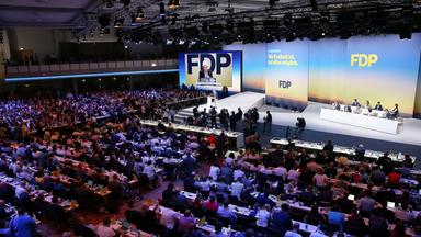 Wolfgang Kubicki wird neuer FDP-Chef und aktuelle politische Entwicklungen