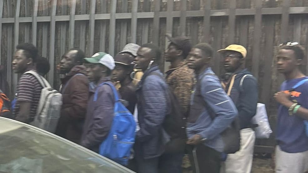Regierung erlaubt 500.000 Migranten die Arbeit: Auswirkungen für Deutschland