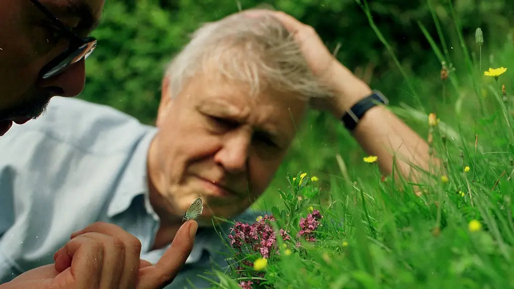 Eine außergewöhnliche Karriere: Sir David Attenborough