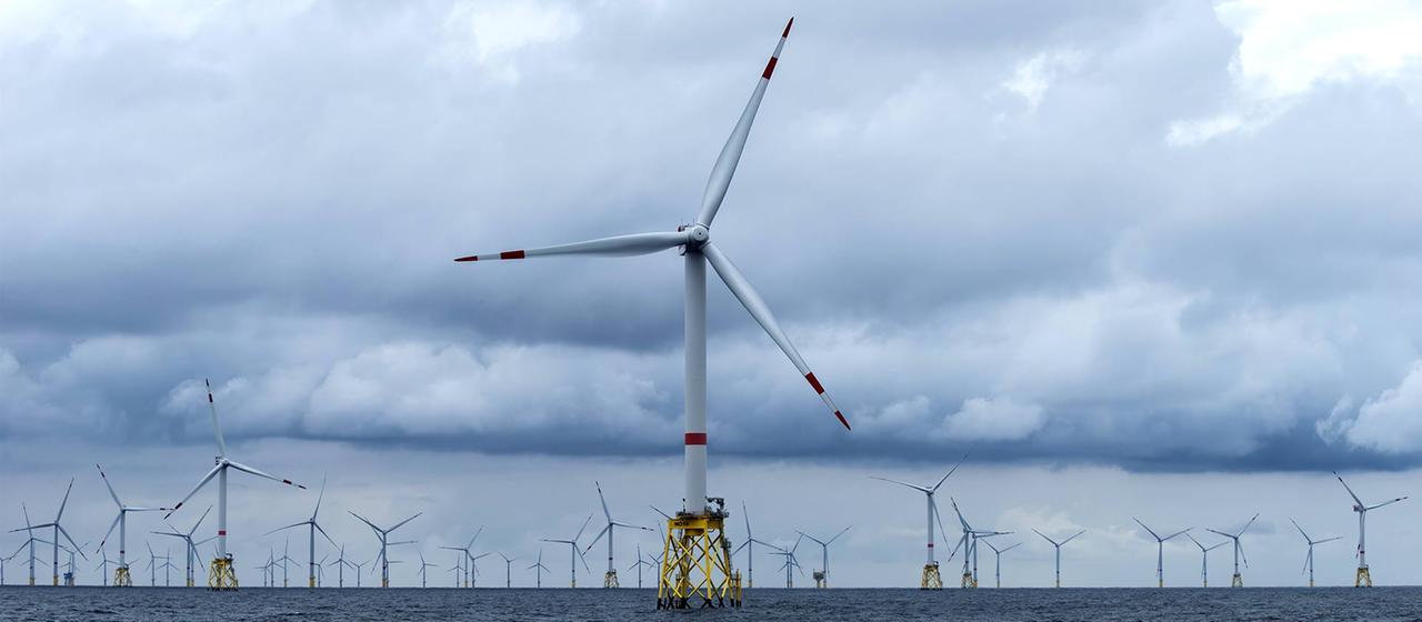 Total Energies plant, Windpark-Flächen zurückzugeben