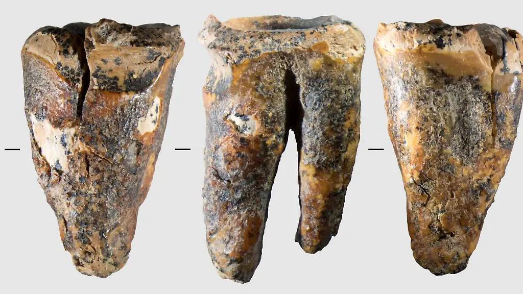 Neandertaler und die Ursprünge der Zahnmedizin