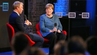 Gestrandeter Buckelwal Timmy und Merkels Perspektive