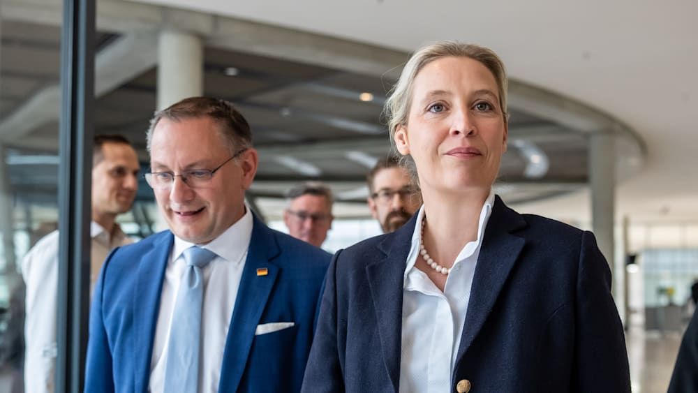 AfD-Umfragewerte und die Erwartungen der Deutschen