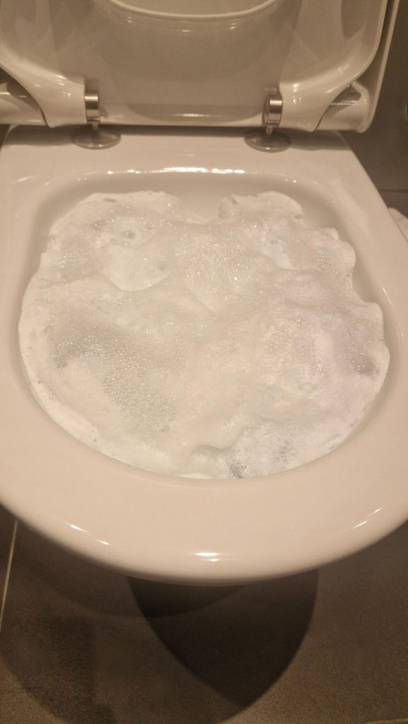 WC-Schaumpulver im Test