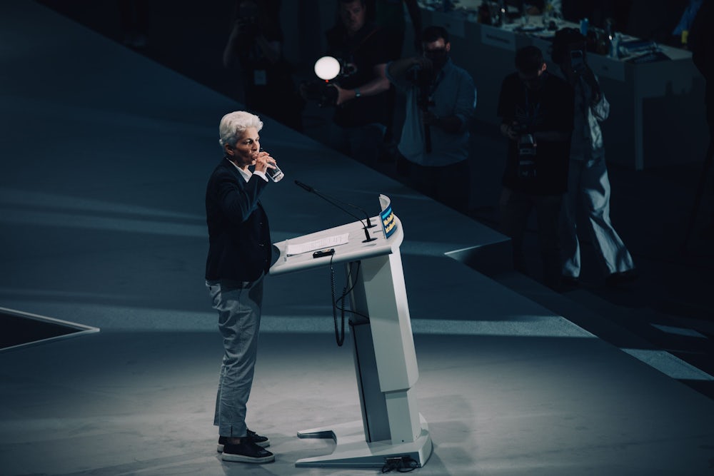 Wolfgang Kubickis Kampf um die FDP-Führung