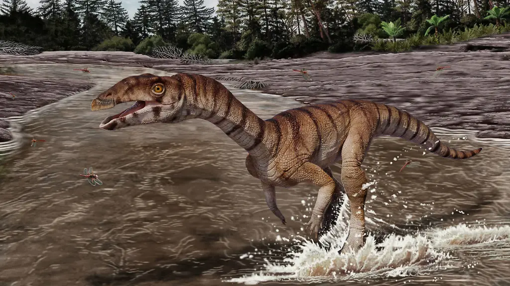 Skurriler Zweig der Evolution: Zweibeiniges Krokodil ohne Zähne entdeckt
