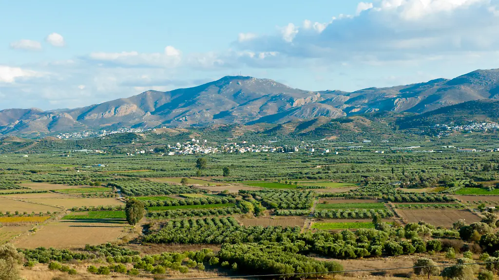 Festnahmen wegen EU-Agrarsubventionsbetrugs auf Kreta