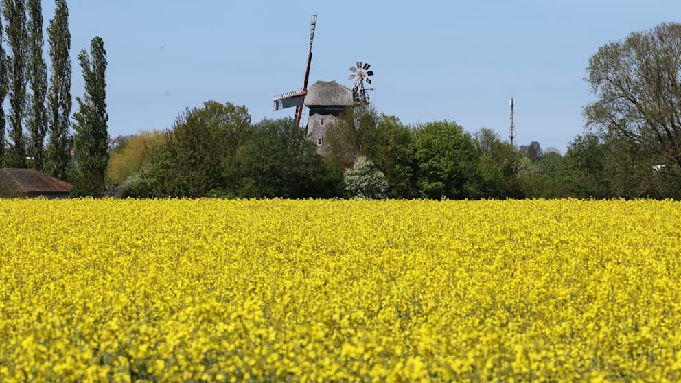 Grillwetter zum Muttertag, dann Frost-Schock: Eisheilige drücken die Temperaturen in den Keller