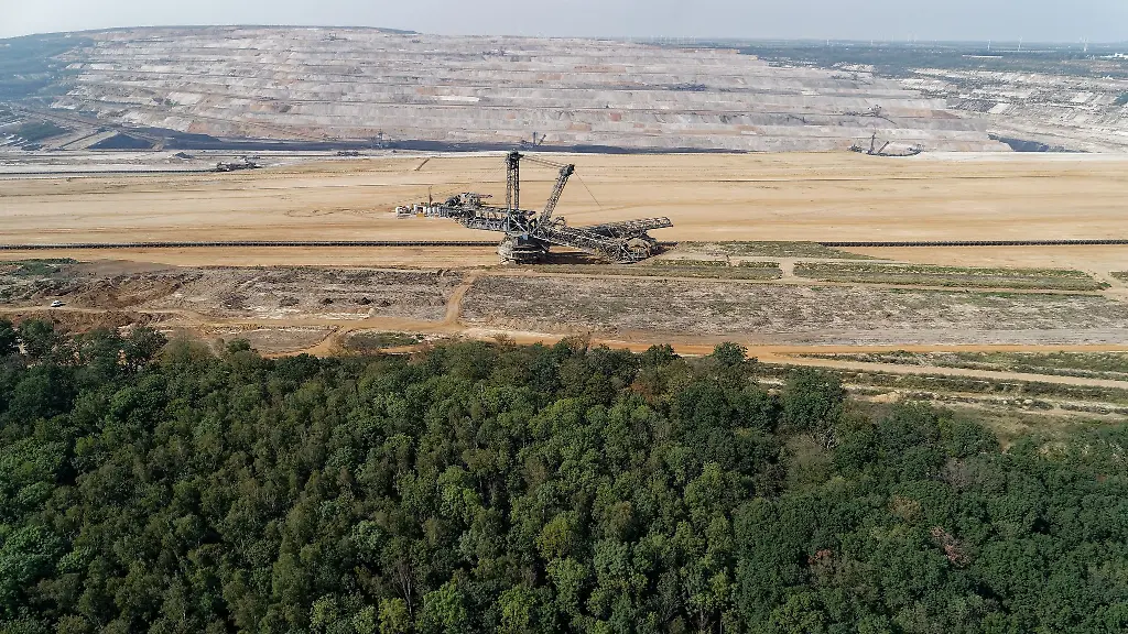 Einigung über dauerhaften Schutz: Hambacher Wald wird zum Wildnisgebiet