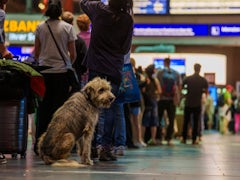 Störung bei Deutscher Bahn: Zwei Stunden Stillstand im Bahnverkehr
