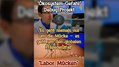 Google bekämpft Mücken mit Biotechnologie