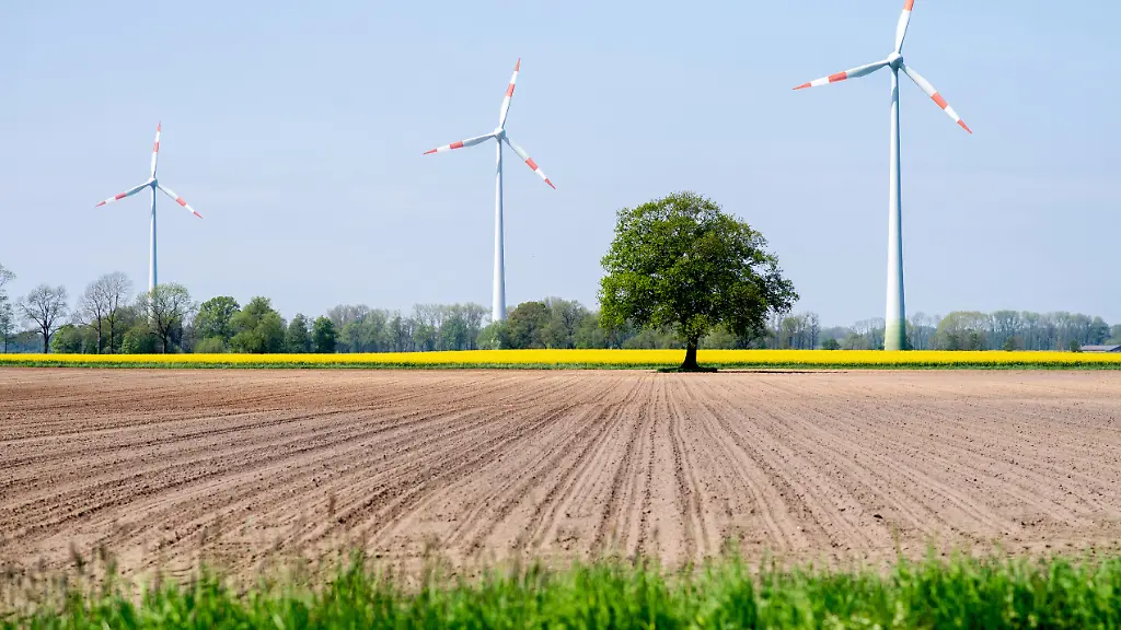 Energie-Bürokratie in Bakum