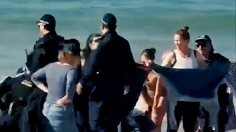 Hai-Angriff in Sydney: Schwimmerin verletzt