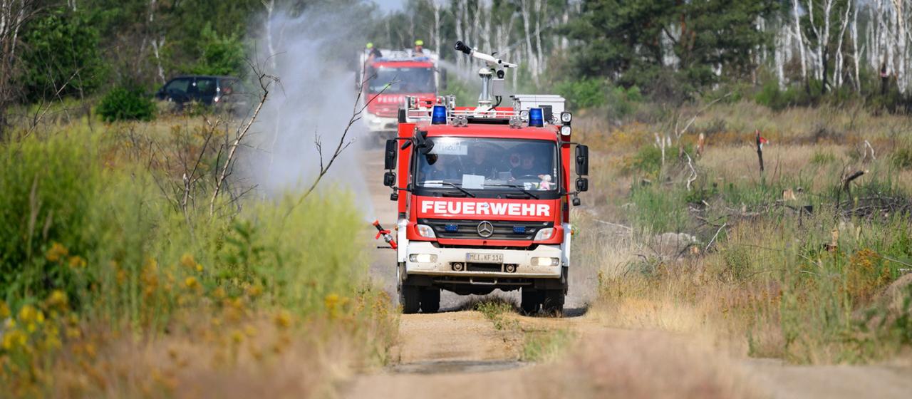 Hitze und Trockenheit in Deutschland Kampf gegen Waldbrände – und die Munition im Boden