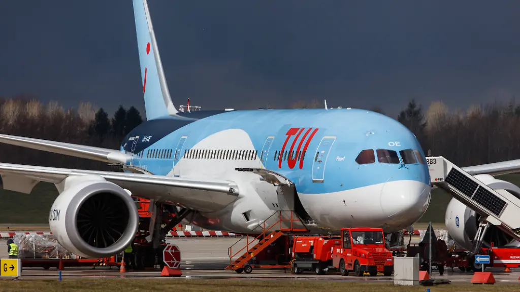 Flugzeug bleibt wegen Schlangenfund am Boden