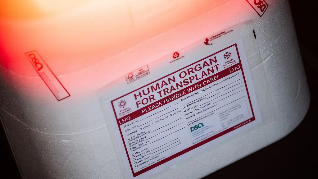 Organspende in Deutschland: Herausforderungen und Hoffnung