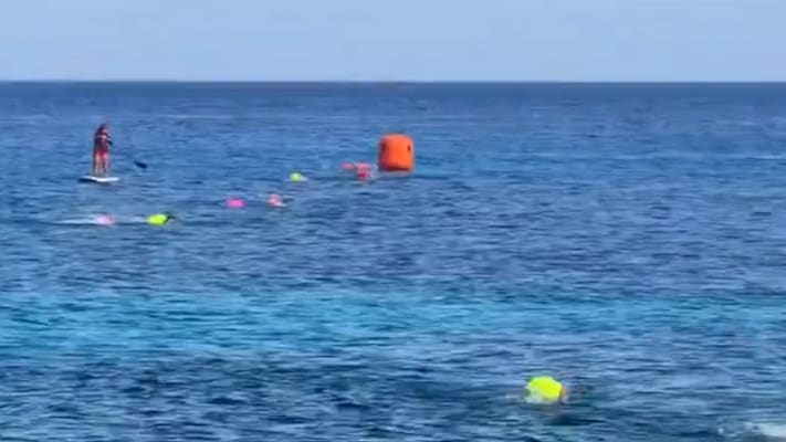 Krokodil-Alarm bei Schwimmwettbewerb auf Mexikos Ferieninsel