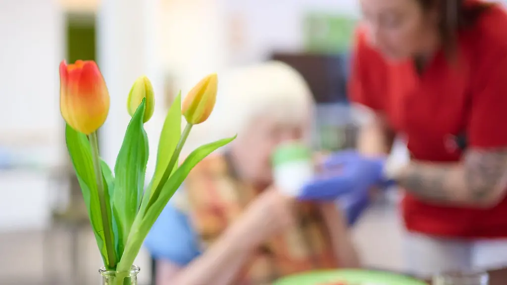 Kritik an Warkens Pflegereform: Verschiebung der Last in Familien
