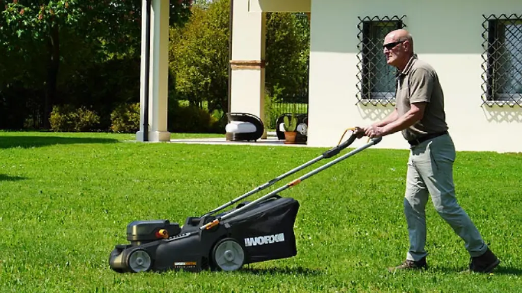 Top-Angebote im Internet: Sparvorteile auf Amazon nutzen