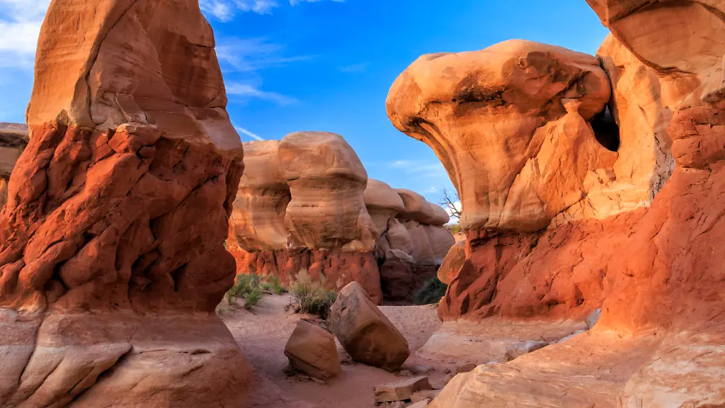 Trump Reduziert US-Naturschutzgebiete Drastisch