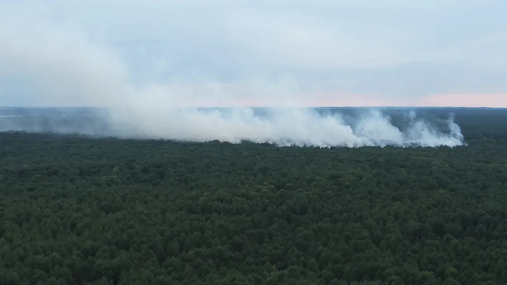 Einsatzkräfte hoffen auf Regen bei Waldbrand im Müritz-Nationalpark