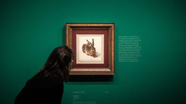 Das MuseumsQuartier Wien: Ein Zentrum der Kunst und Kultur