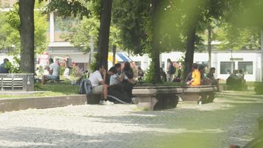 Mannheim und die Herausforderung der Sommerhitze