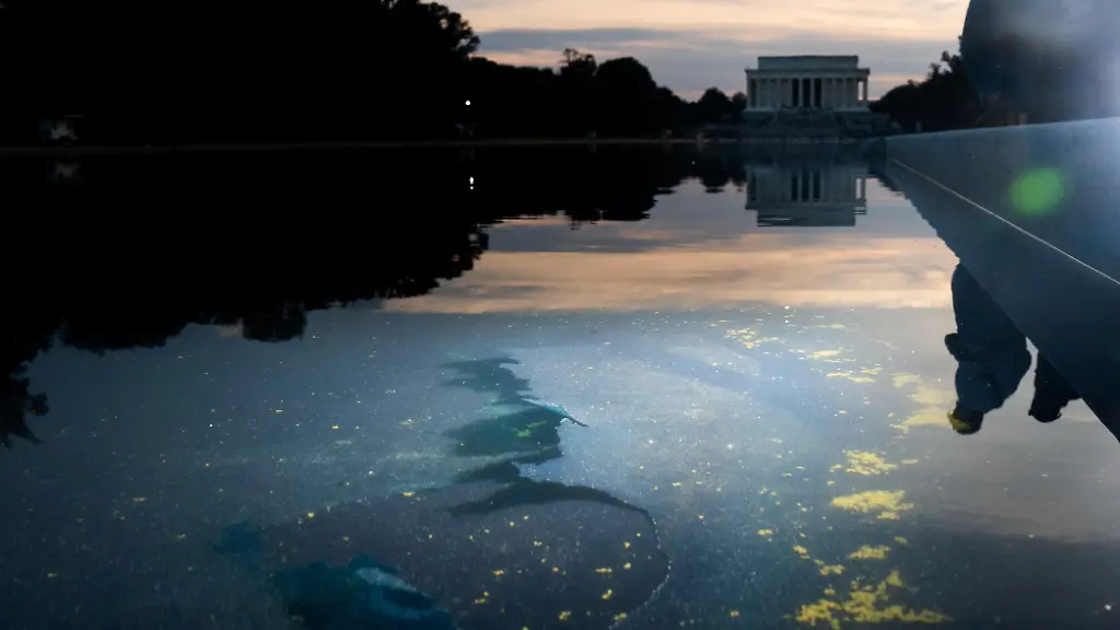 Ex-Olympionike wegen Schädigung des Reflecting Pools angeklagt