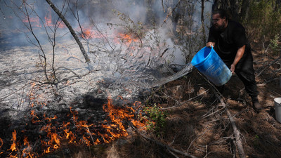 Beispiellose Waldbrände in Südwesteuropa: Lage in Spanien und Frankreich angespannt