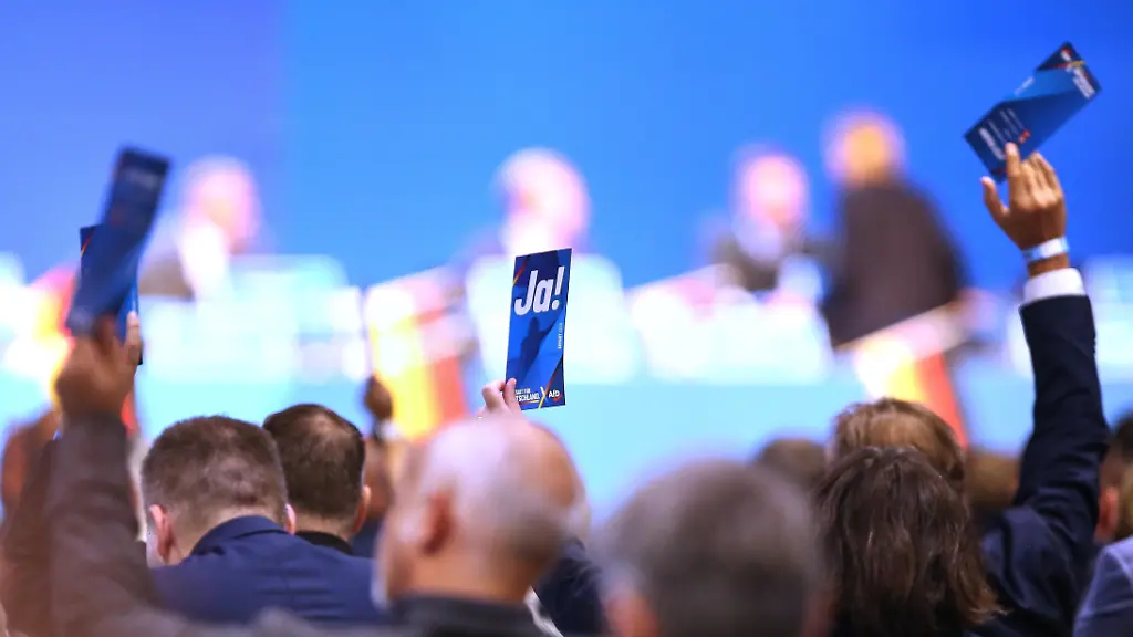 AfD-Parteitag in Erfurt unter Druck: Geschlossenheit statt Kontroversen