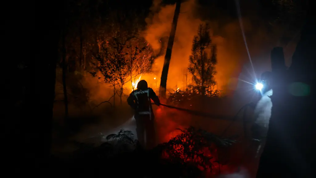 Historische Feuer-Saison: Ursachen und Auswirkungen der Waldbrände in Frankreich und Spanien