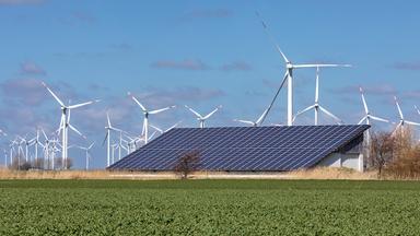 Photovoltaik-Einspeisevergütung wird gesenkt: Auswirkungen und Perspektiven
