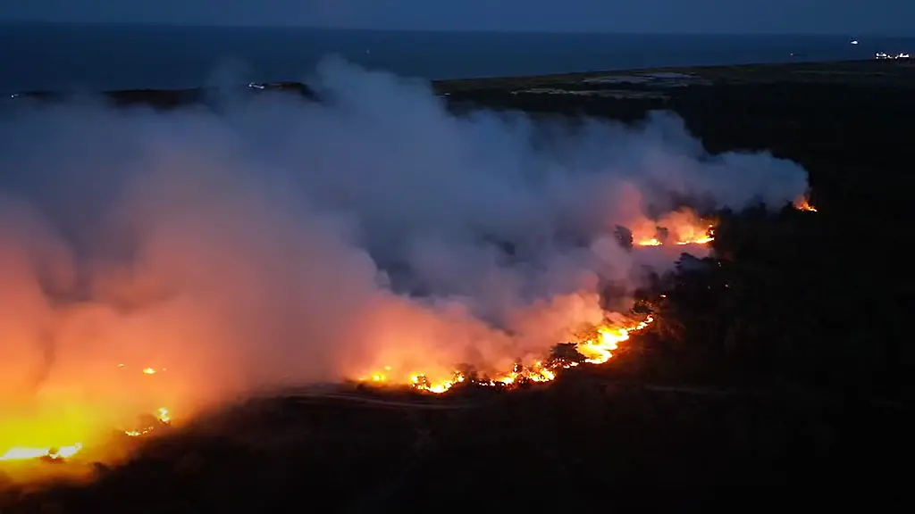 Waldbrand in England: Gefahr nahe Atomkraftwerk und Ferienpark