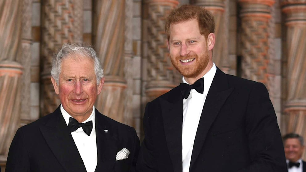 BILD-Reporter über Harry und Charles: Möglichkeit der Versöhnung