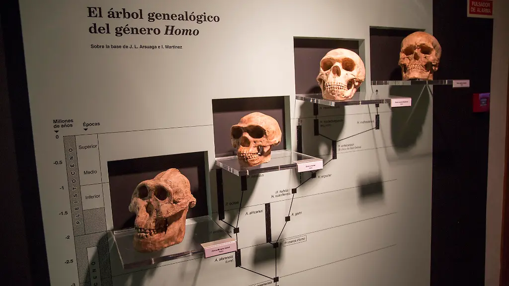 Mysteriöse Vorfahren in der menschlichen DNA entdeckt