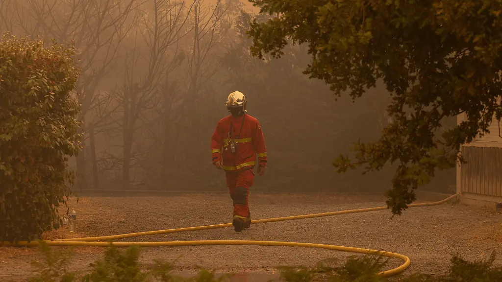 Grünen-Chefin fordert mehr Einsatz für Klimaschutz bei Waldbränden