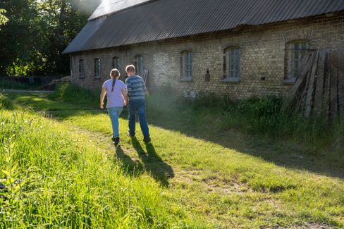 Hühnerzucht auf einem Bauernhof in Schleswig-Holstein