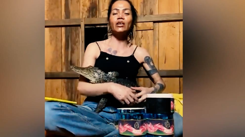 Kritik von Tierschützern: Krokodil beißt während Livestream zu