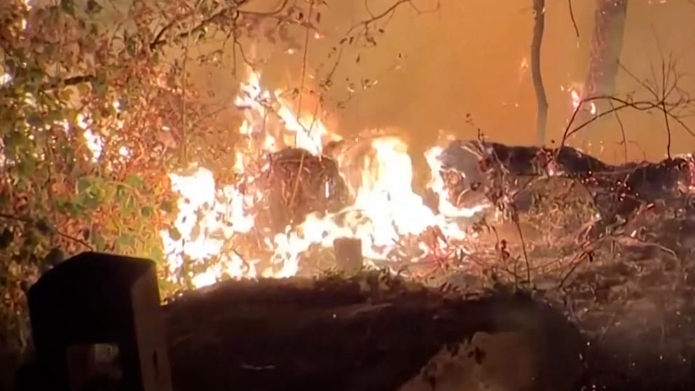 Großbrand im Wald von Fontainebleau