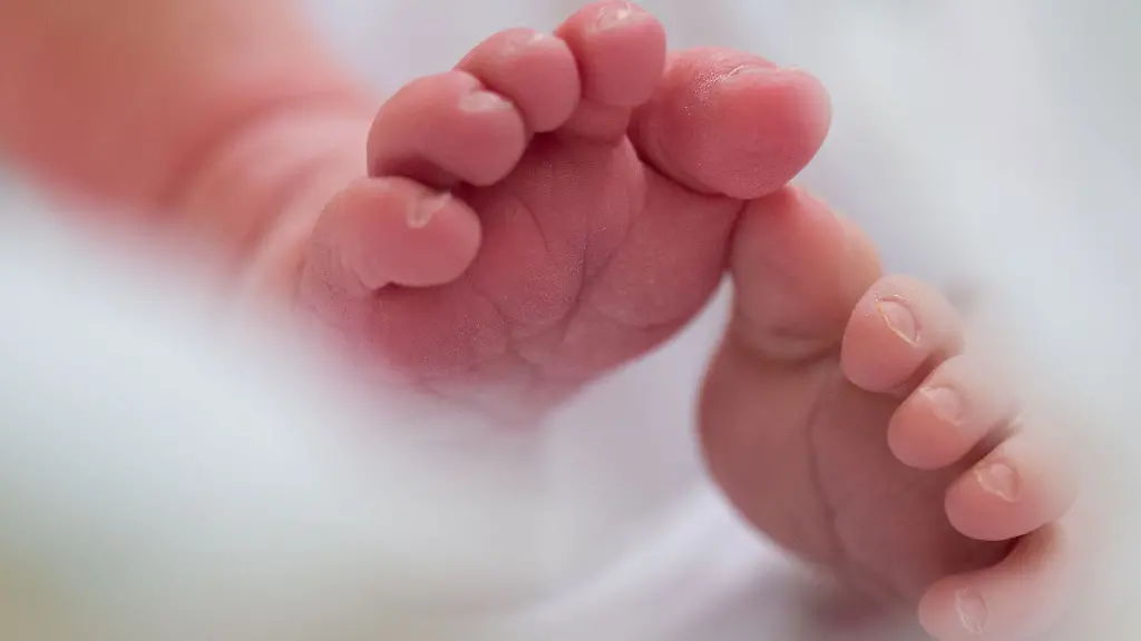 Geburtenrate in Deutschland erreicht neuen Tiefpunkt 2025