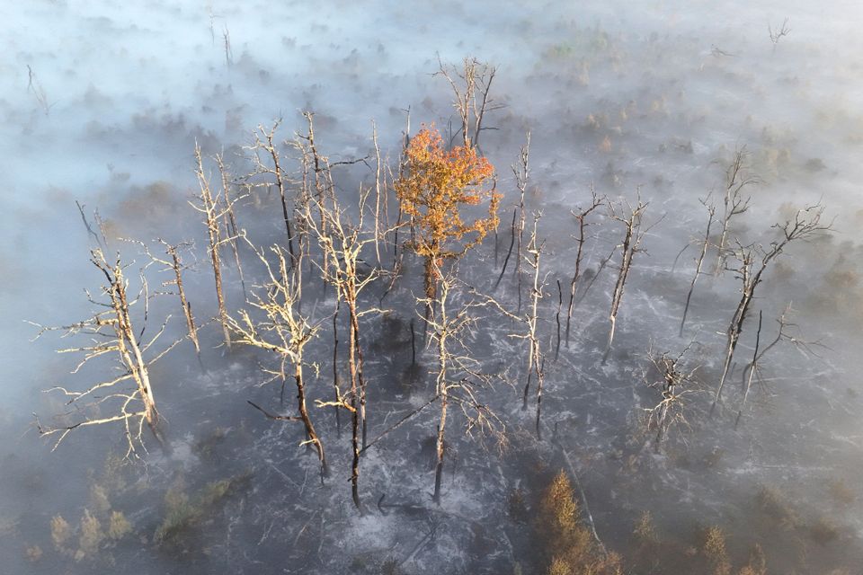Gefahren des Rauchs bei Waldbränden in Südeuropa