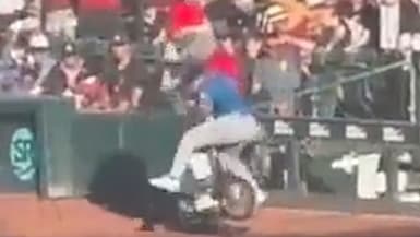 Scooter-Unfall im Stadion: Maskottchen kollidiert mit Baseball-Profi