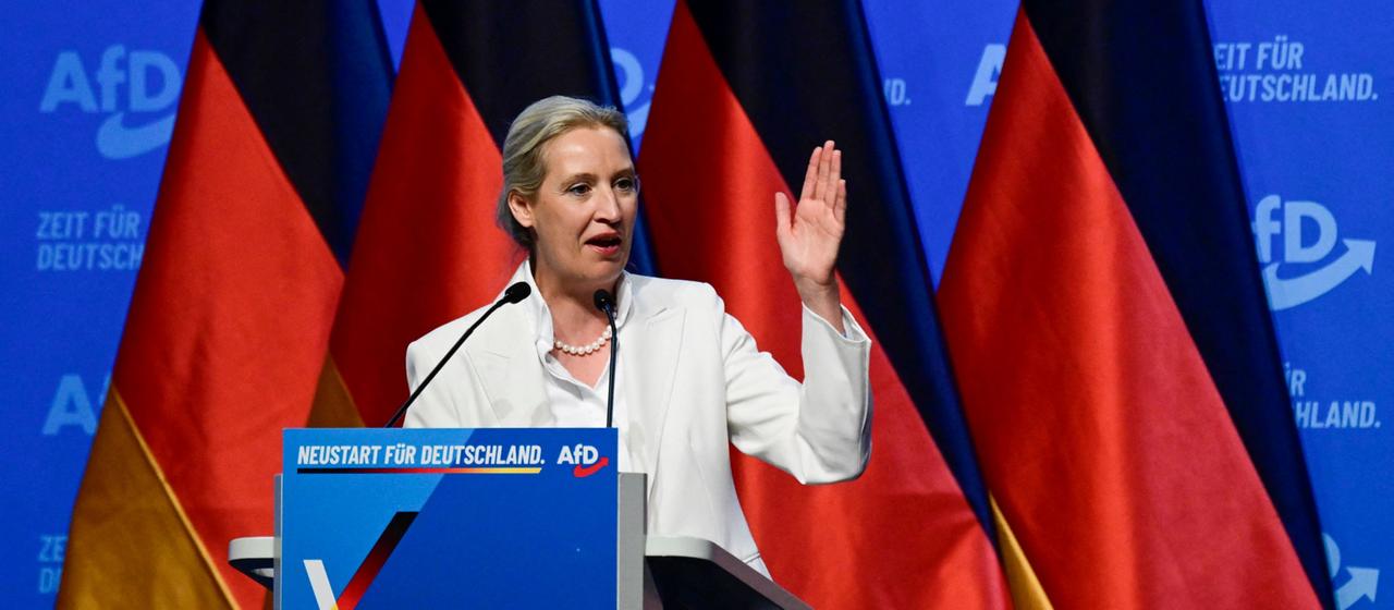 Analyse des AfD-Bundesparteitags: Machtstrategien und Konflikte