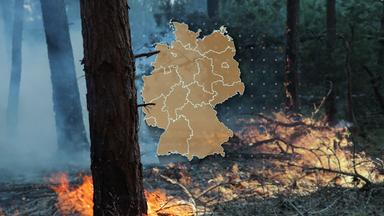 Waldbrandgefahr in Deutschland: Vorbeugung und Maßnahmen