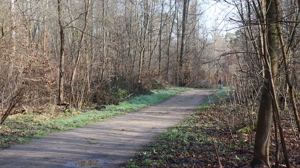 Jugendlicher wegen Mordes an Freundin angeklagt