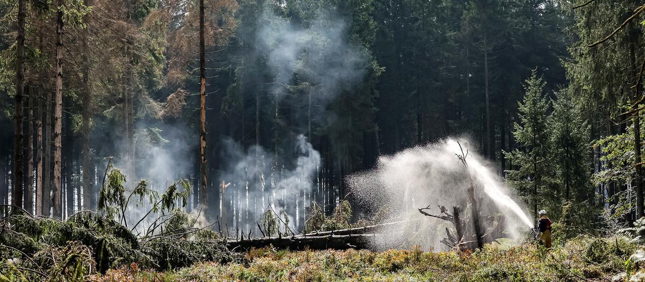 Großer Waldbrand in Belgien unter Kontrolle