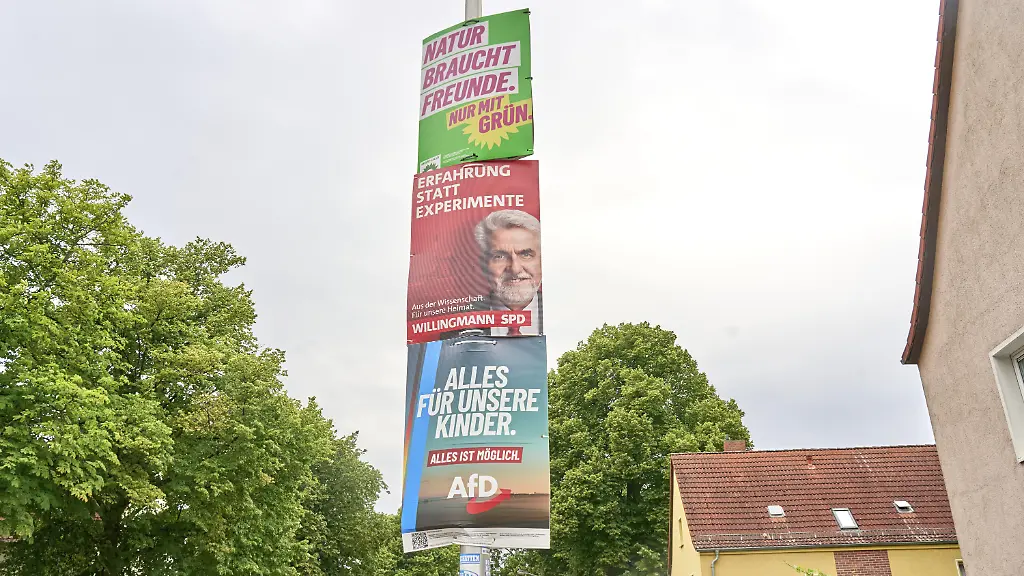 AfD erzielt Umfrage-Höchststände in Sachsen-Anhalt